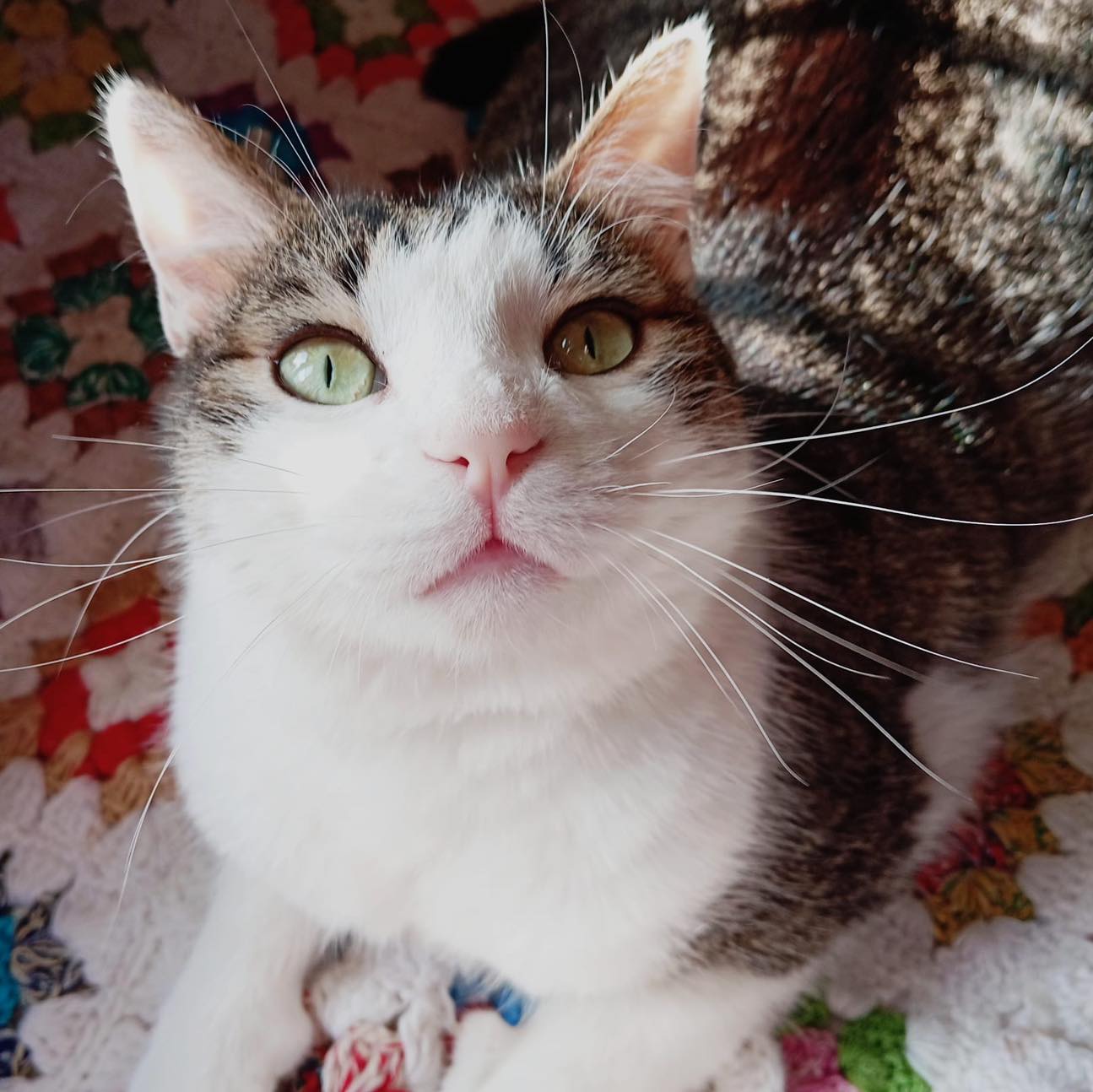 Ezio