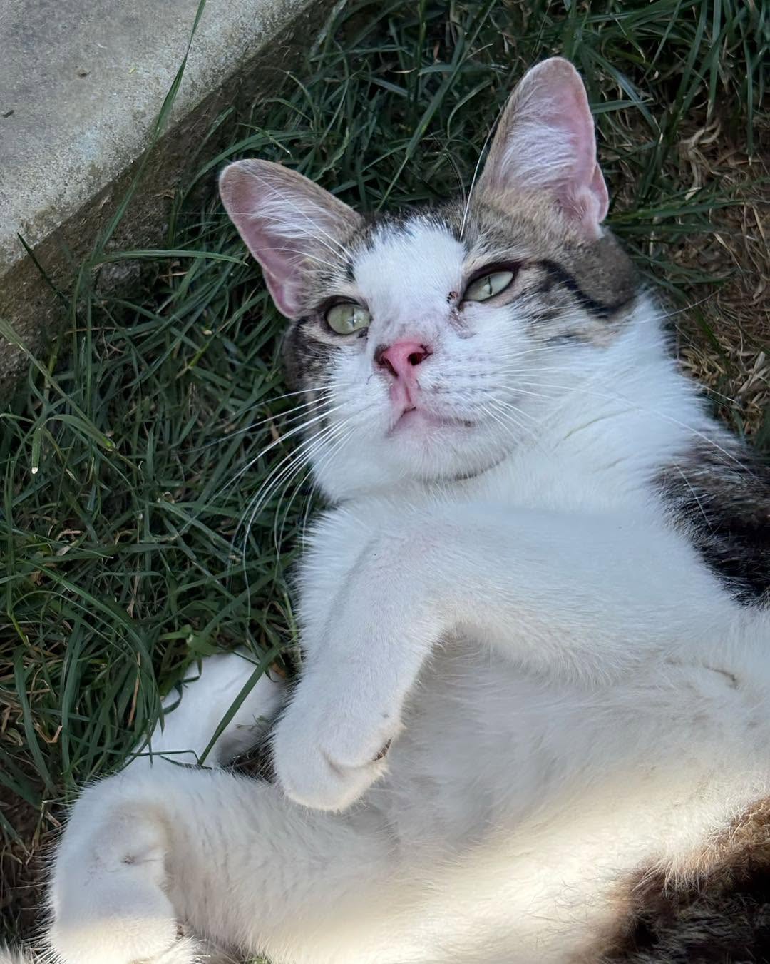 Capobianco