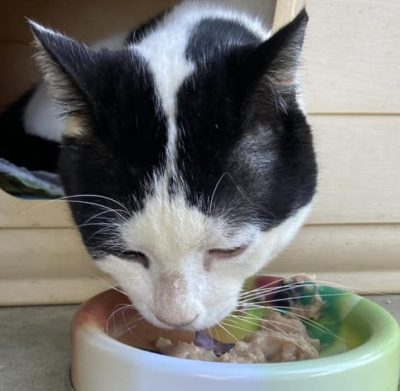 344568620_765229255258261_2868534800038259118_n