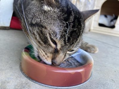 347563662_138558169210854_1433442360106091640_n