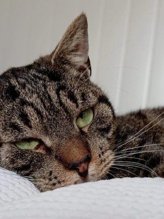 462088454_929103795916067_7029104265056310944_n