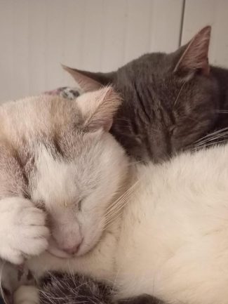 493518860_1079208587572253_4578794957917367547_n