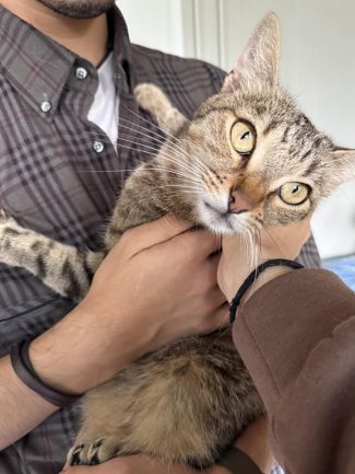 568561339_1226354452857665_5365433799033150377_n