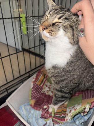 568679972_1226146379545139_1866978058719777828_n