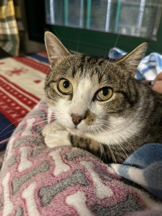 573054888_1233099308849846_5619907415085609796_n