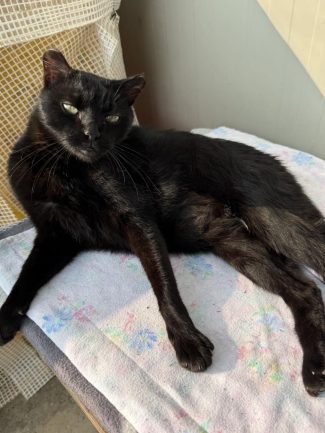 584025607_1251901070303003_318963655024250964_n