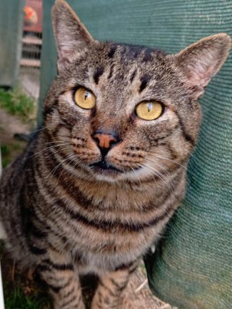 586152714_1252862126873564_6050831627582711671_n