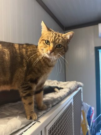 611266256_18389134840179251_2780102550994418492_n (1)