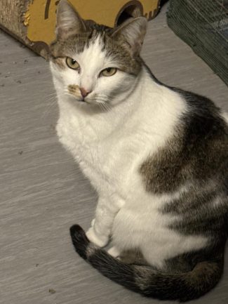 616628737_1297420192417757_3242006270047195878_n