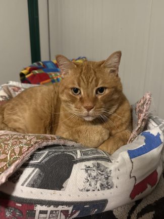 618682687_1299111548915288_2910341557787424805_n