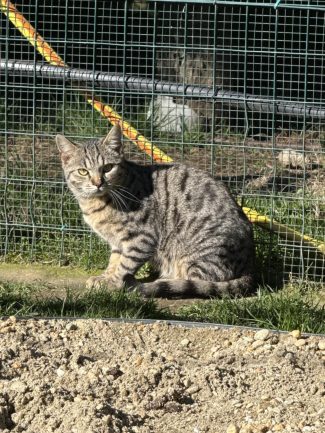 639692714_1325660289593747_4083632551407521729_n