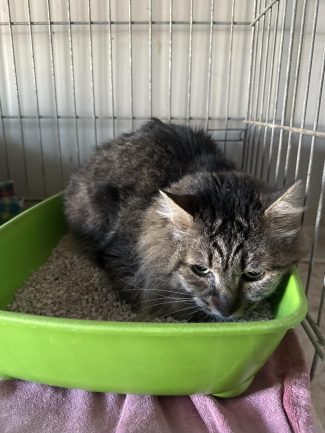 639719871_1325665062926603_3888429731401632626_n