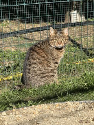 639776256_1325636032929506_3705017508333750002_n