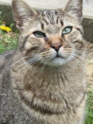 640346961_1326359732857136_3022159930329090155_n