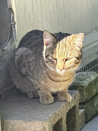 645904217_1333005562192553_1906148460948508005_n