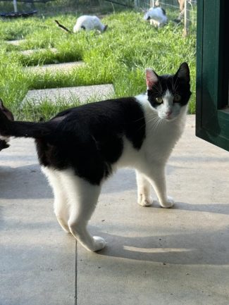 646270693_1335696555256787_8339396699978964622_n