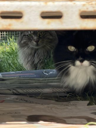 649927904_1340217471471362_2830659081143016802_n