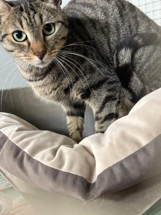 651525270_1341821091311000_5143371341726621992_n