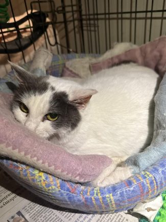 653702510_1346673950825714_3320042347025484994_n