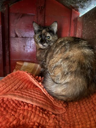 668191083_1364984805661295_2429655073502685097_n