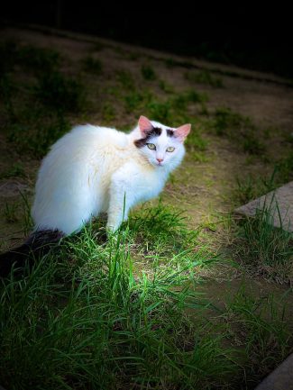 IMG-20240618-WA0008 mina